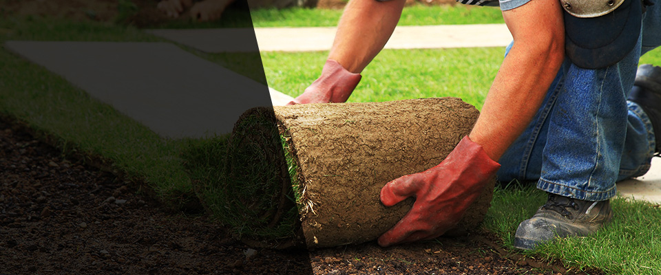Dodge City Landscapers